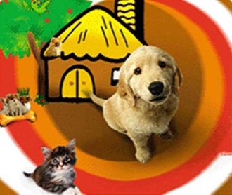 北京金凱利寵物樂園 公司網(wǎng)站設(shè)計(jì)（保密）